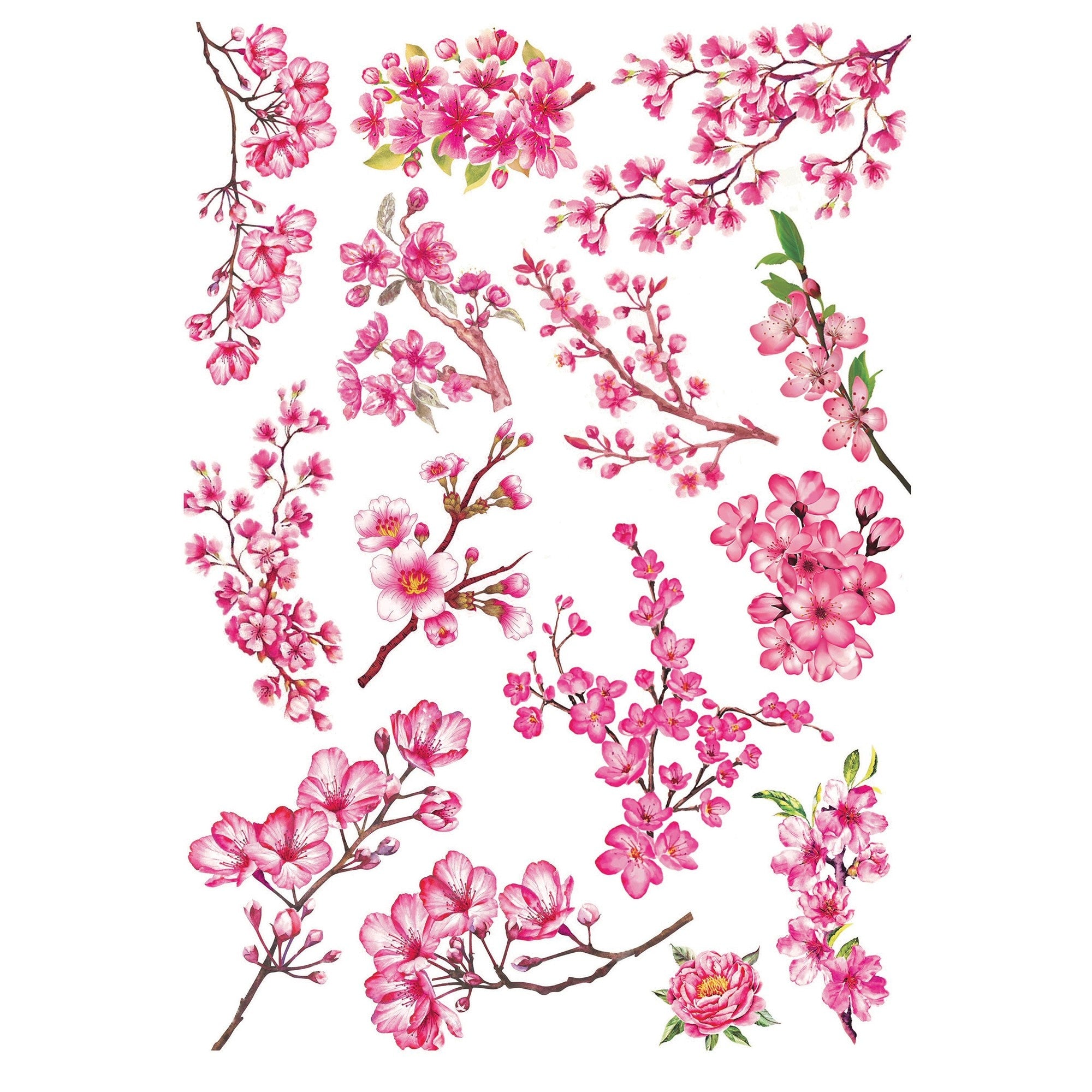 Little Birdie Deco Transfer Sheet A4-Cherry Blossom