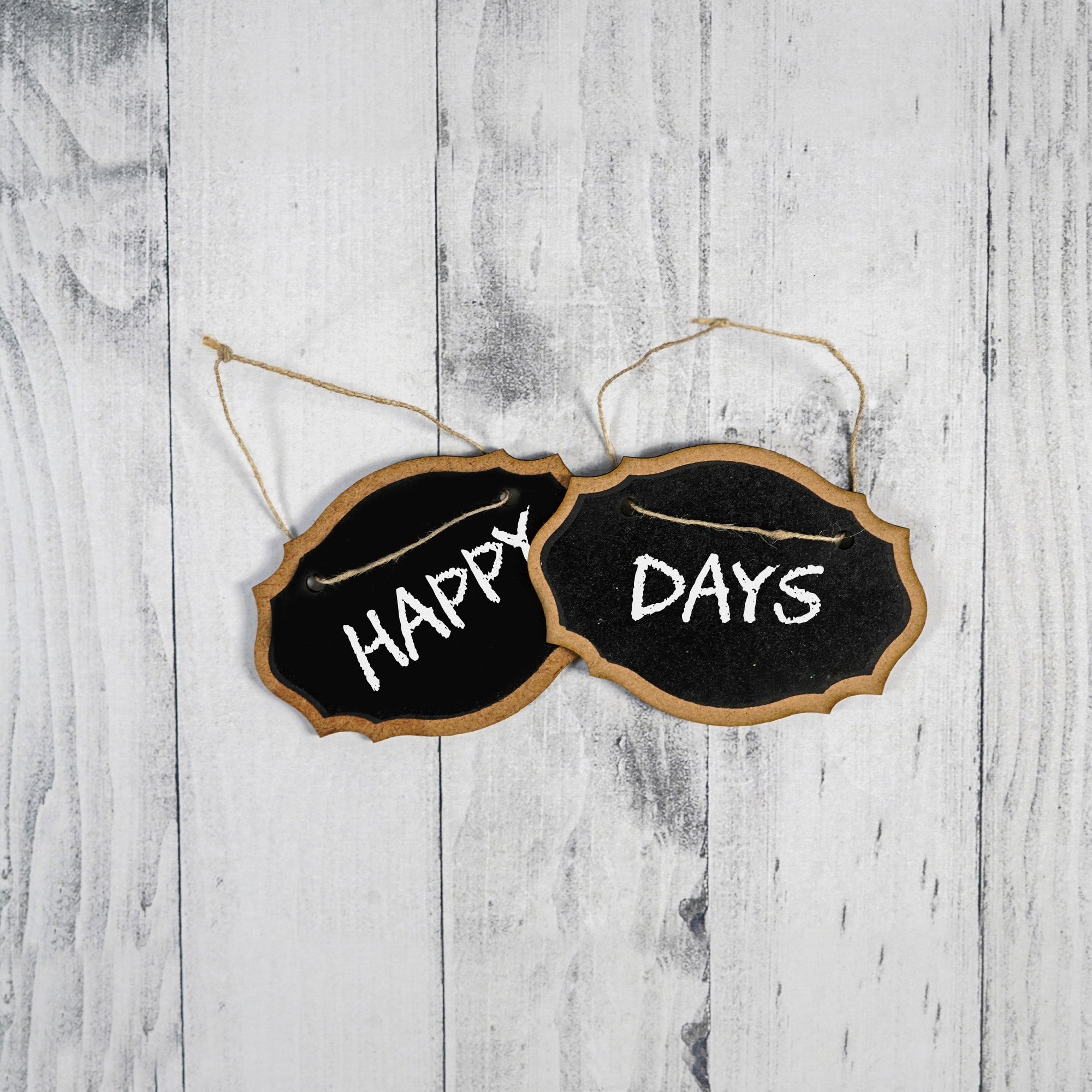 Little Birdie Hanging Mini Chalkboard Sign 2/Pkg-Oval