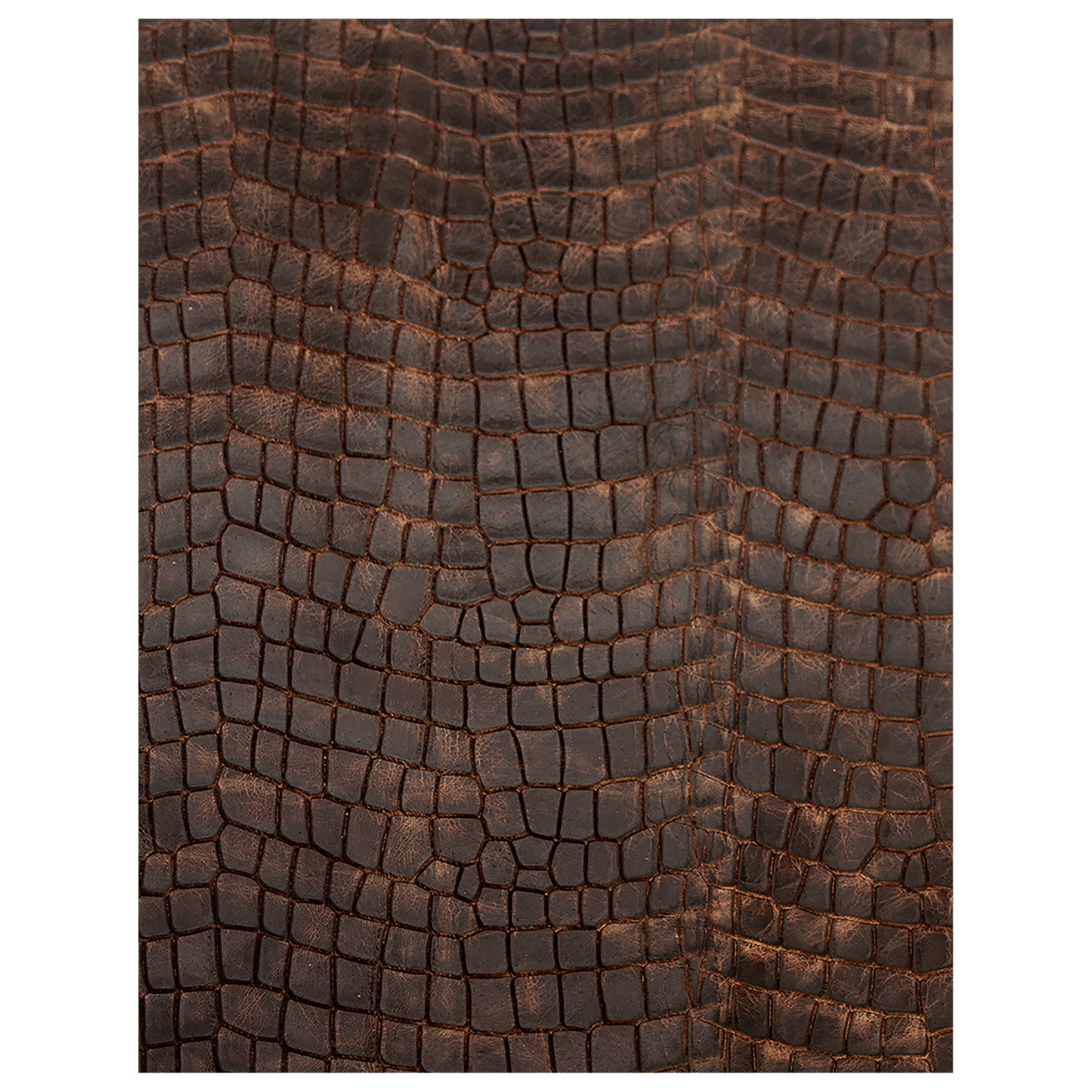 Realeather(R) Crafts Printed Leather Trim 8.5"X11"-Dragon Plate