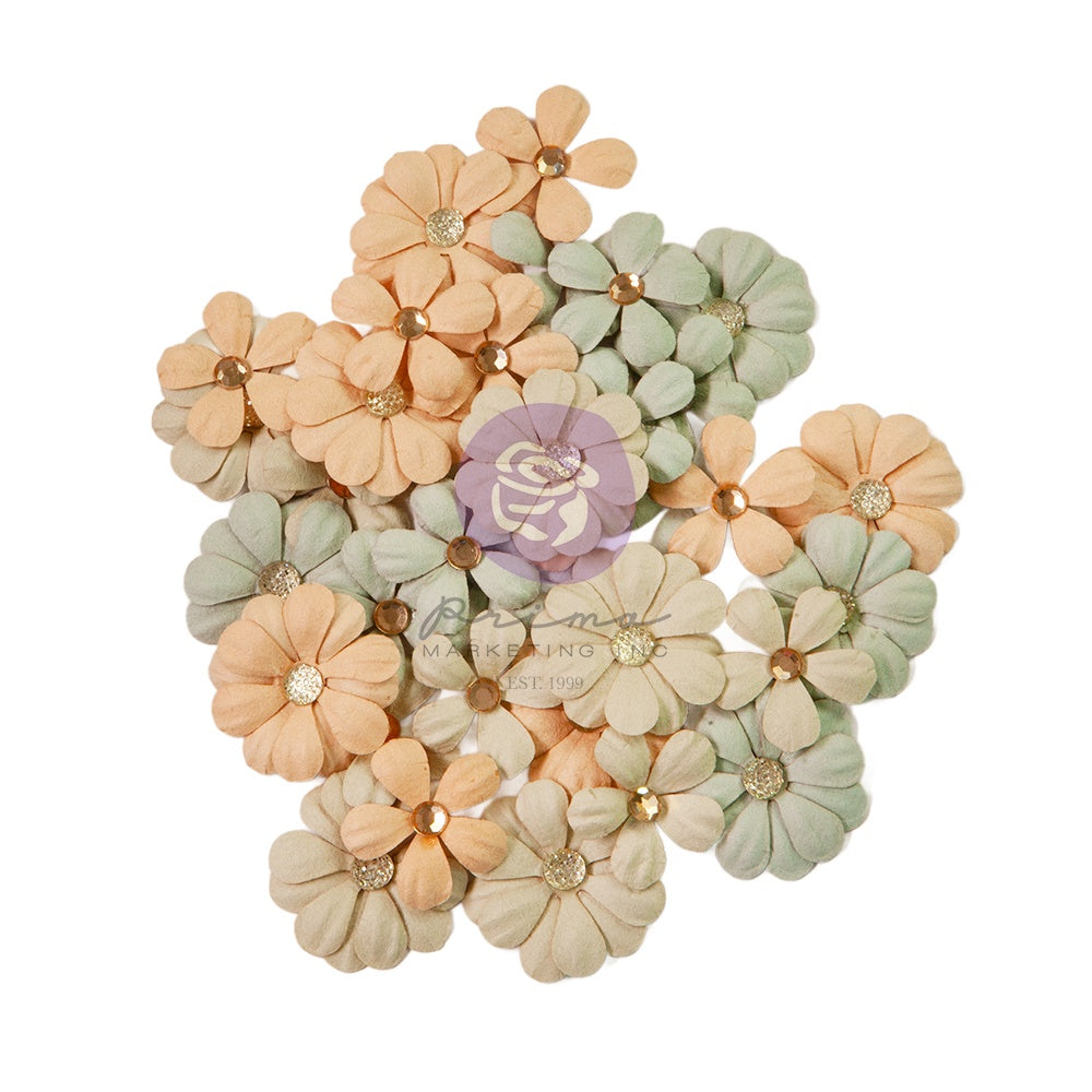 Prima Marketing Paper Flowers 36/Pkg-In No Time, In the Moment