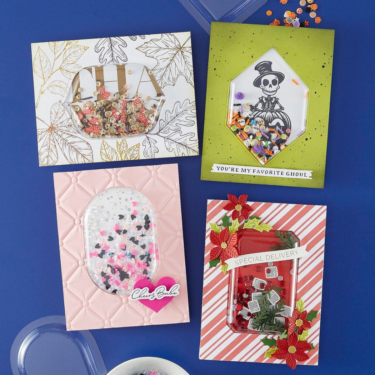 Spellbinders Shaker Dome 6/Pkg-Arch