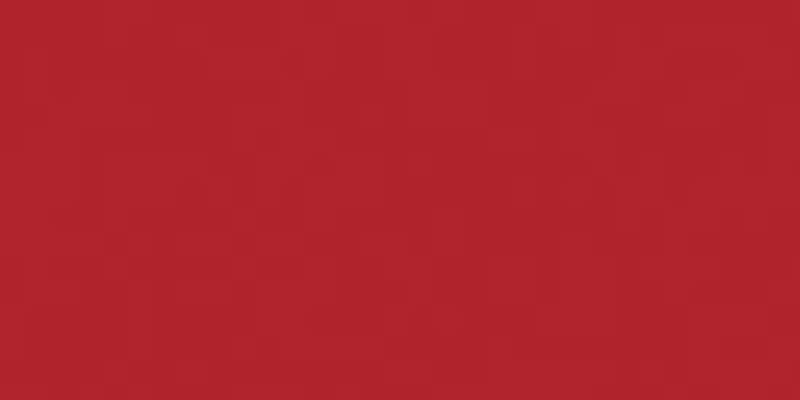 All-Purpose Plastic Zipper 14" Red