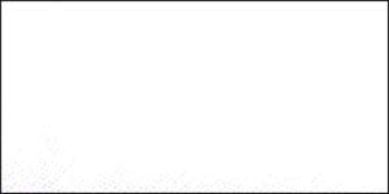 Bias Tape Hem Facing 1-7/8"X2-1/2yd White