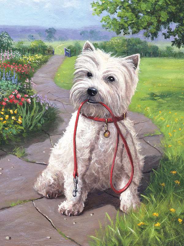 Junior Small Paint By Number Kit 8.75"X11.75" Time For A Walk