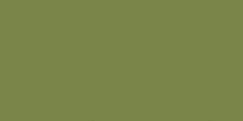 Patio Paint 2oz Fern Green