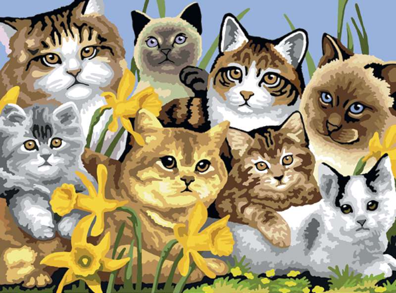 Junior Large Paint By Number Kit 15.25"X11.25" Cats Montage