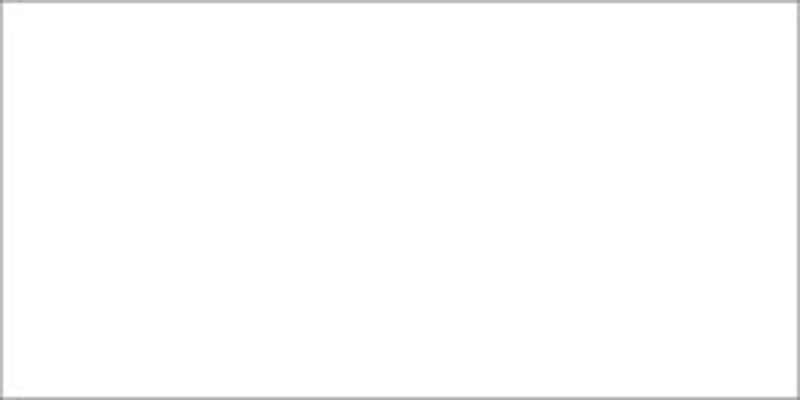 Ceramcoat Acrylic Paint 8oz White - Semi-Opaque