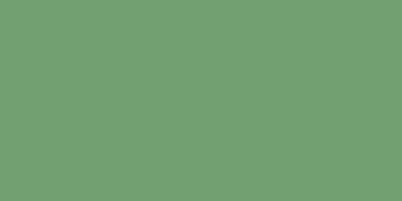 FolkArt Acrylic Paint 2oz Bright Green