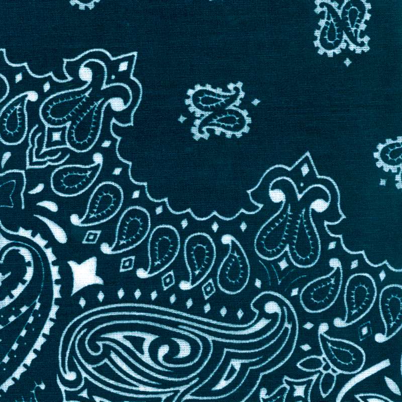 Hav-A-Hank Paisley Bandanna 22"X22" Navy