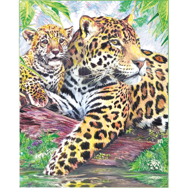 Color Pencil By Number Kit 8.75"X11.75" Jaguar Family