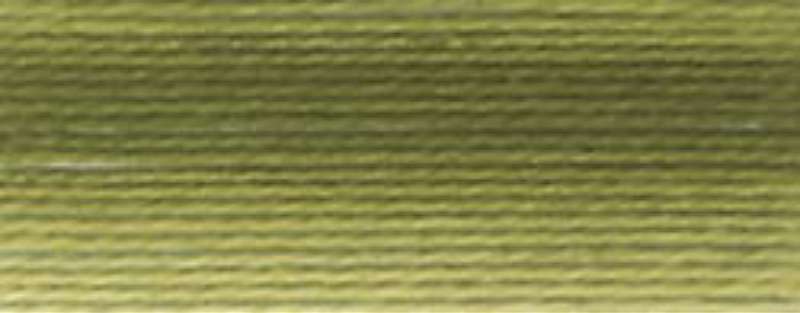 DMC Pearl Cotton Ball Size 8 87yd Variegated Olive