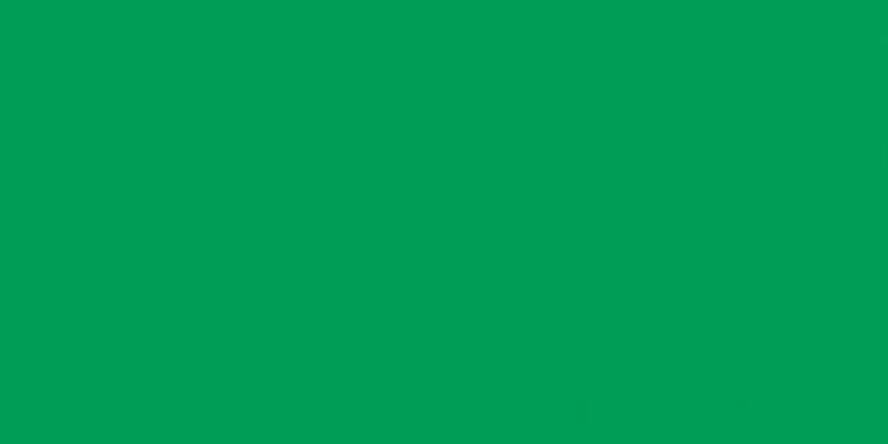 Fimo Soft Polymer Clay 2oz Tropical Green