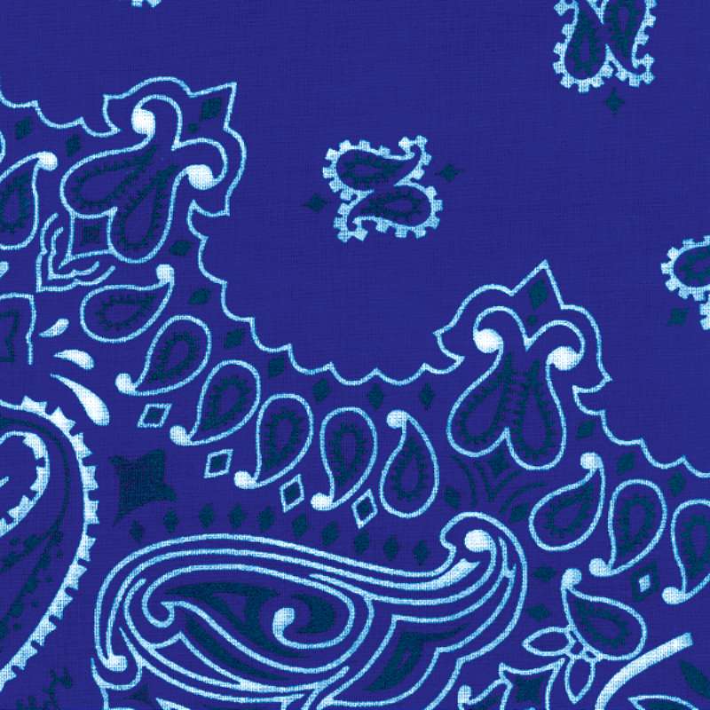 Hav-A-Hank Paisley Bandanna 22"X22" Royal