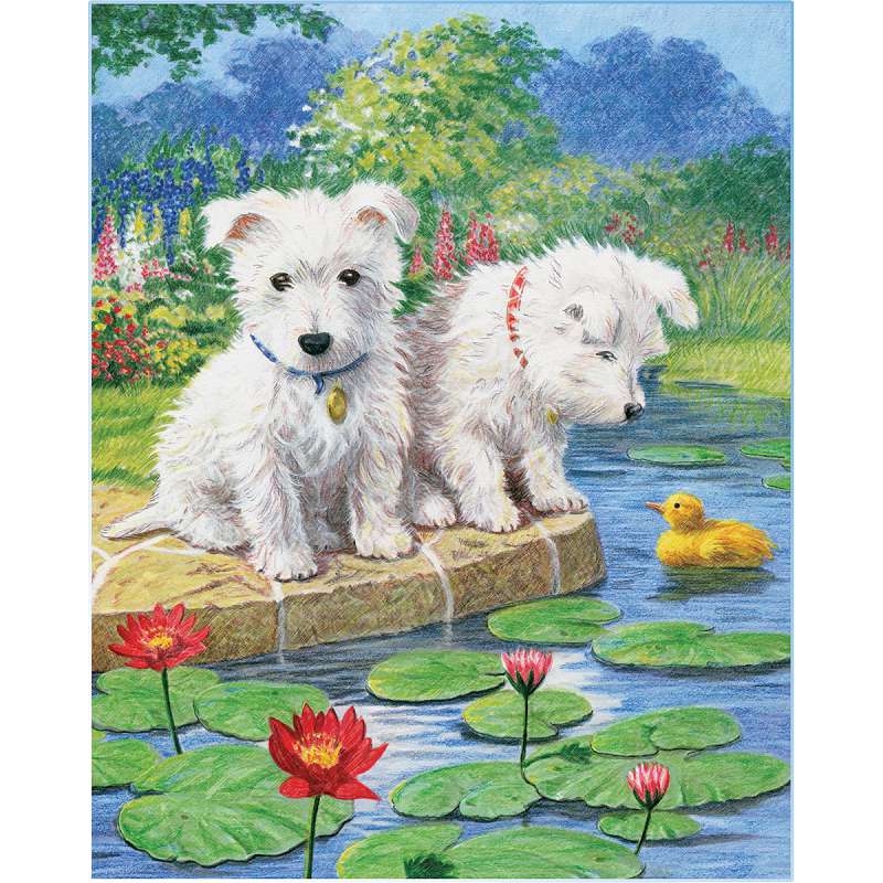 Color Pencil By Number Kit 8.75"X11.75" Westie Pups