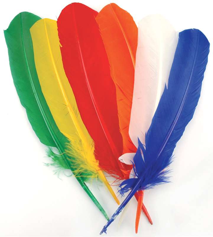 Turkey Quill Feathers 6/Pkg Primary
