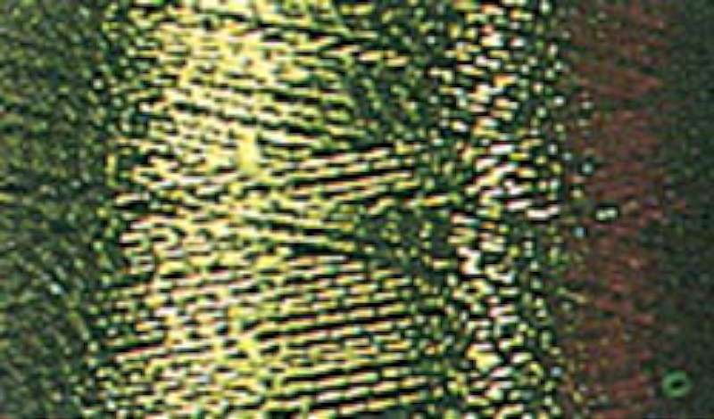 Sulky Metallic Thread Pine Green