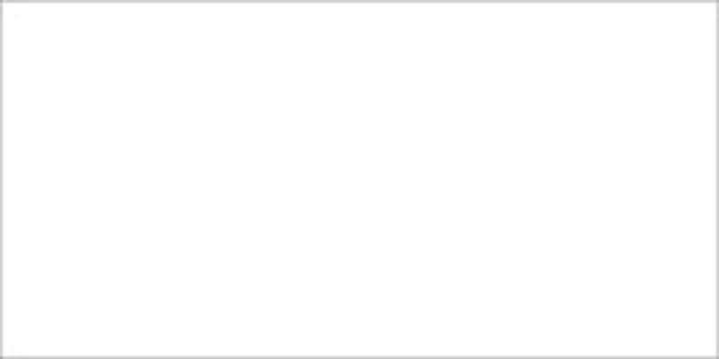 Americana Acrylic Paint 2oz White Wash - Semi-Opaque
