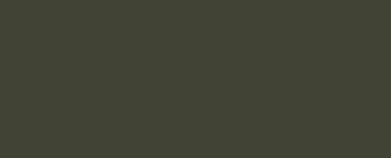 Madeira Rayon Thread 40wt 200m Dark Khaki