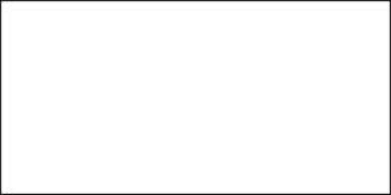 Americana Gloss Enamels Acrylic Paint 2oz White
