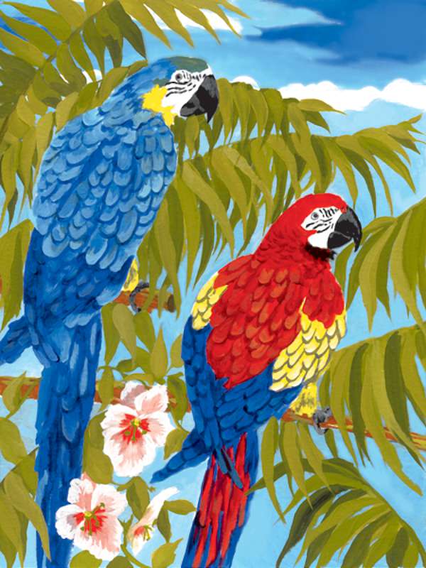 Junior Small Paint By Number Kit 8.75"X11.75" Parrots