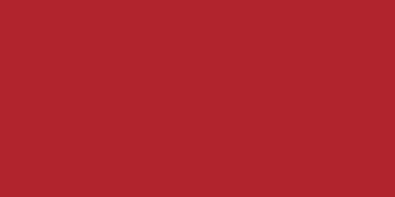 All-Purpose Plastic Zipper 16" Red
