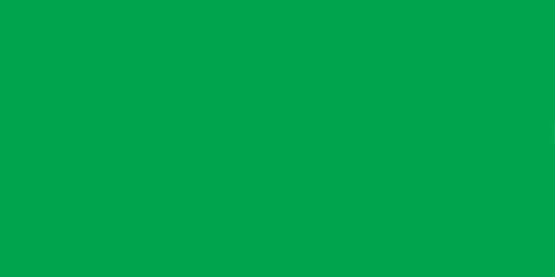 Jacquard Dye-Na-Flow Liquid Color 2.25oz Emerald Green