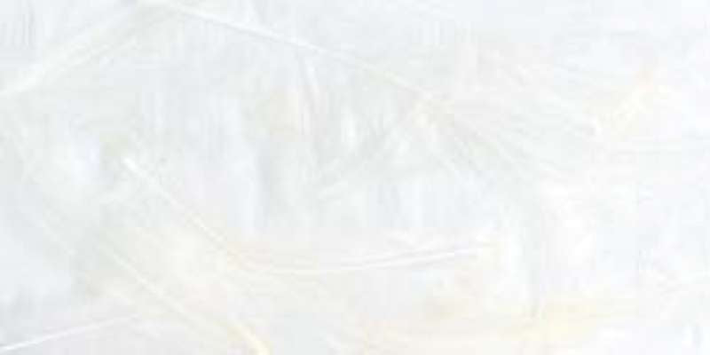 Marabou Feathers .25oz White