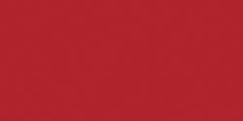 All-Purpose Plastic Zipper 9" Red