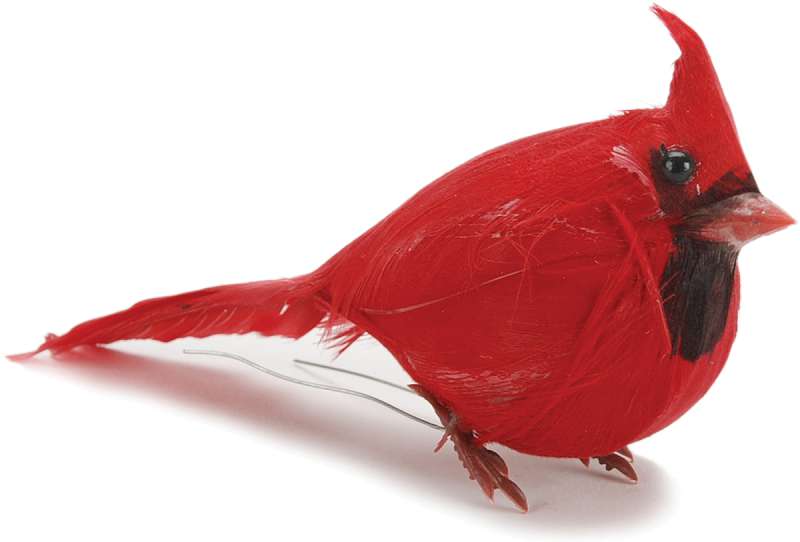 Mushroom Bird 3.5" Fat Cardinal