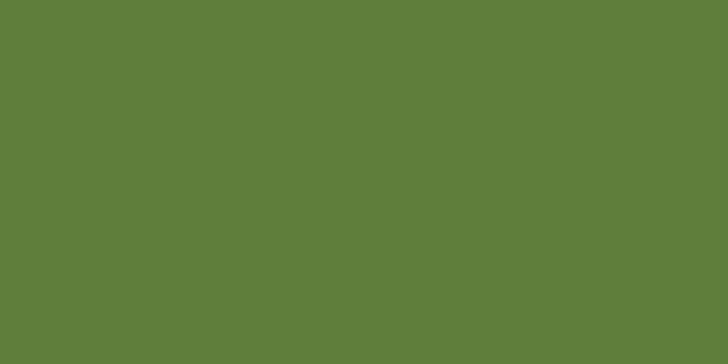 Copic Ciao Markers Olive