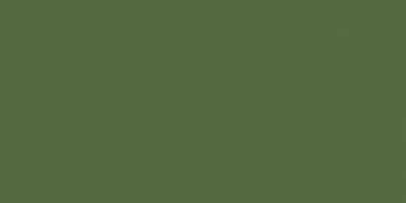 Americana Acrylic Paint 2oz Avocado - Opaque