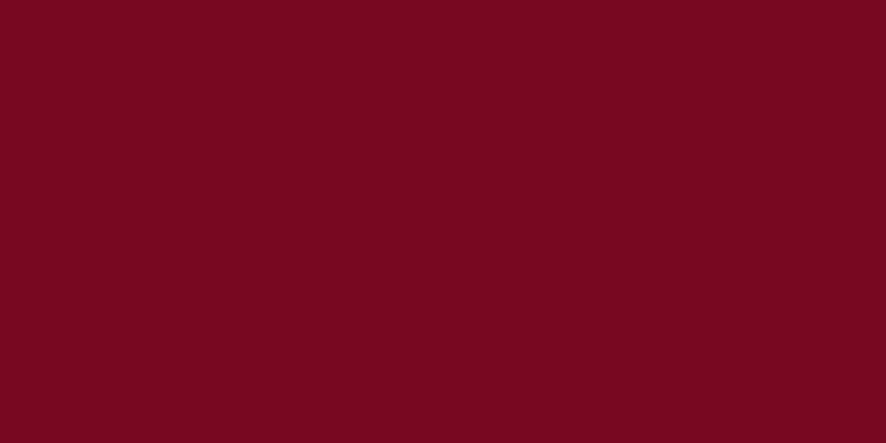 All-Purpose Plastic Zipper 22" Barberry Red