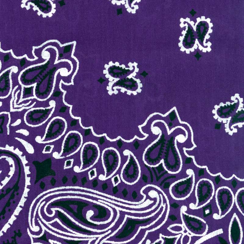 Hav-A-Hank Paisley Bandanna 22"X22" Purple
