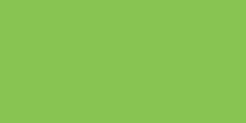 Americana Acrylic Paint 2oz Pistachio Mint - Opaque