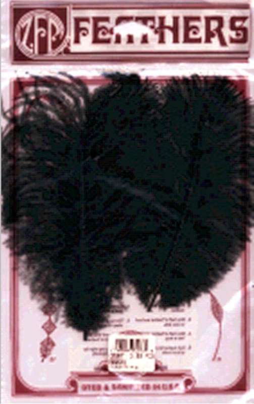 Ostrich Feathers 2/Pkg Black