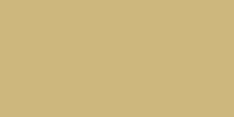 Perfect Pearls Pigment Powder .25oz Gold