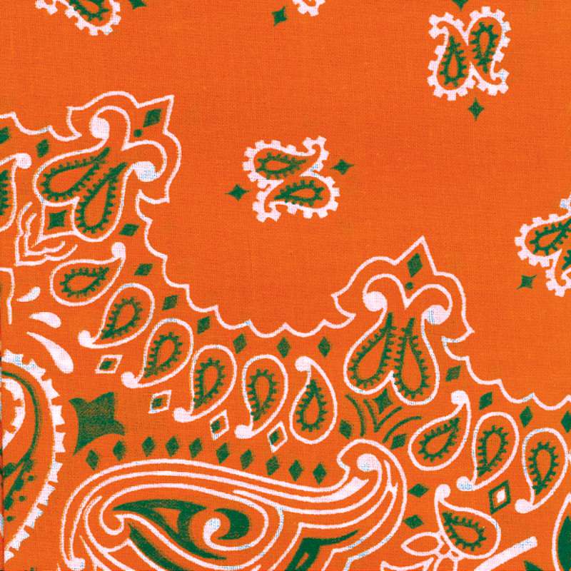 Hav-A-Hank Paisley Bandanna 22"X22" Orange