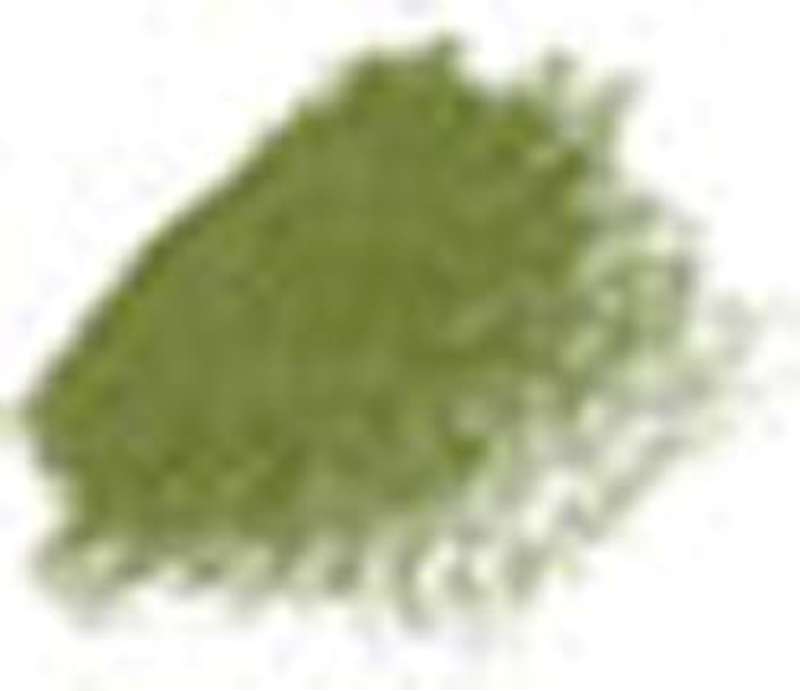 Prismacolor Premier Colored Pencil Open Stock Moss Green