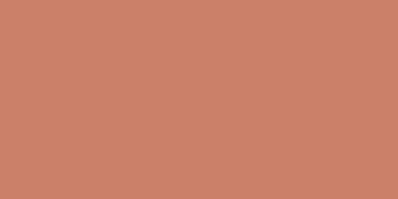 Copic Sketch Markers Light Mahogany