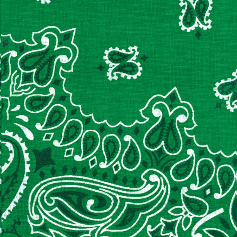 Hav-A-Hank Paisley Bandanna 22"X22" Kelly Green