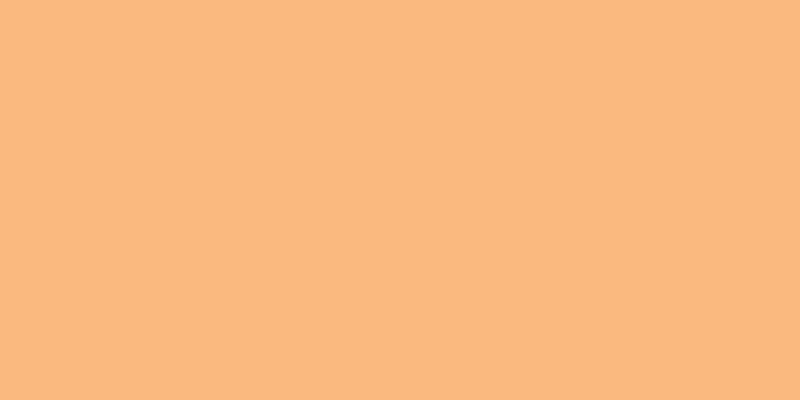 Copic Sketch Markers Tea Orange
