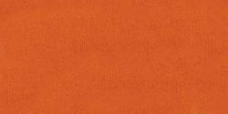 Jacquard Acid Dyes .5oz Burnt Orange