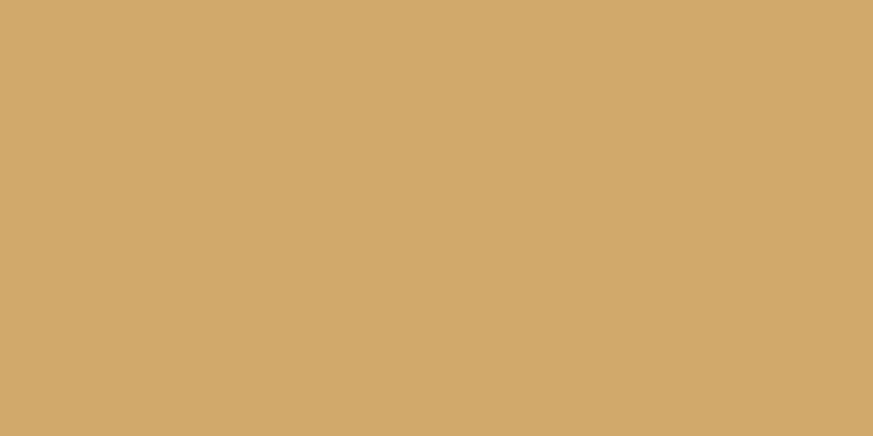 All-Purpose Plastic Zipper 9" Camel