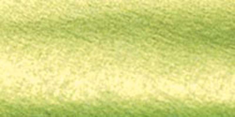 Dazzling Metallics Acrylic Paint 2oz Festive Green