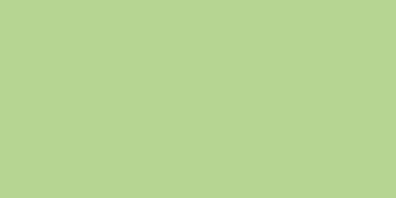Ceramcoat Acrylic Paint 2oz Lime Sorbet - Opaque