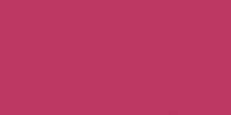 All-Purpose Plastic Zipper 7" Red Rose