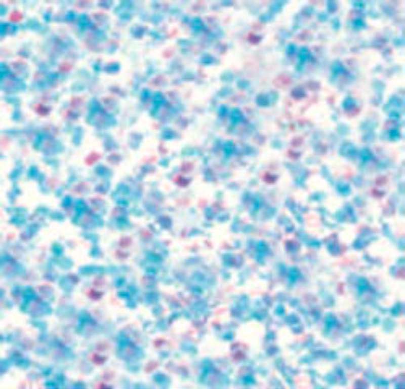 Stickles Glitter Glue .5oz Icicle