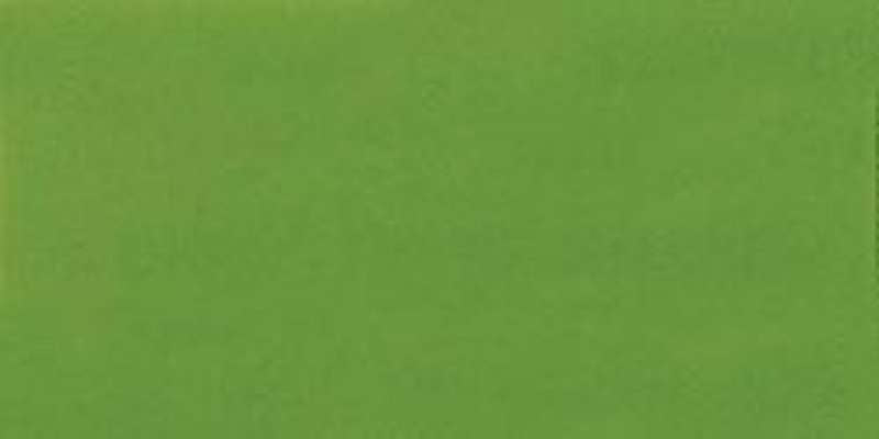 Jacquard Acid Dyes .5oz Kelly Green