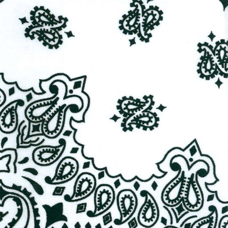 Hav-A-Hank Paisley Bandanna 22"X22" White