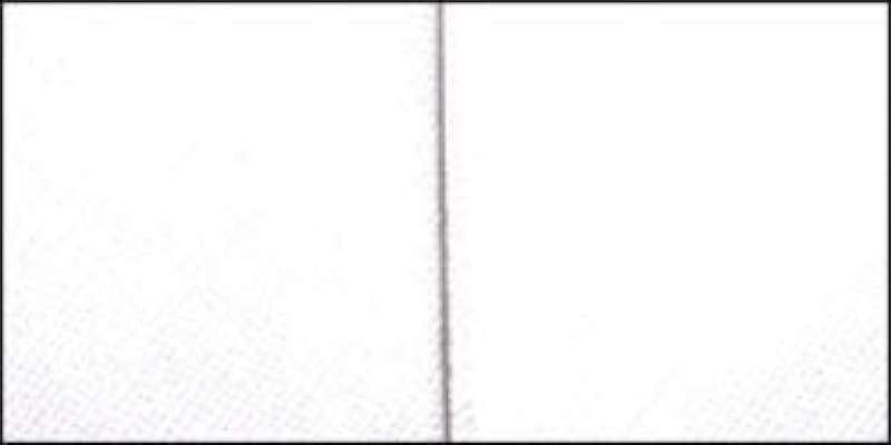 Double Fold Quilt Binding 7/8"X3yd White